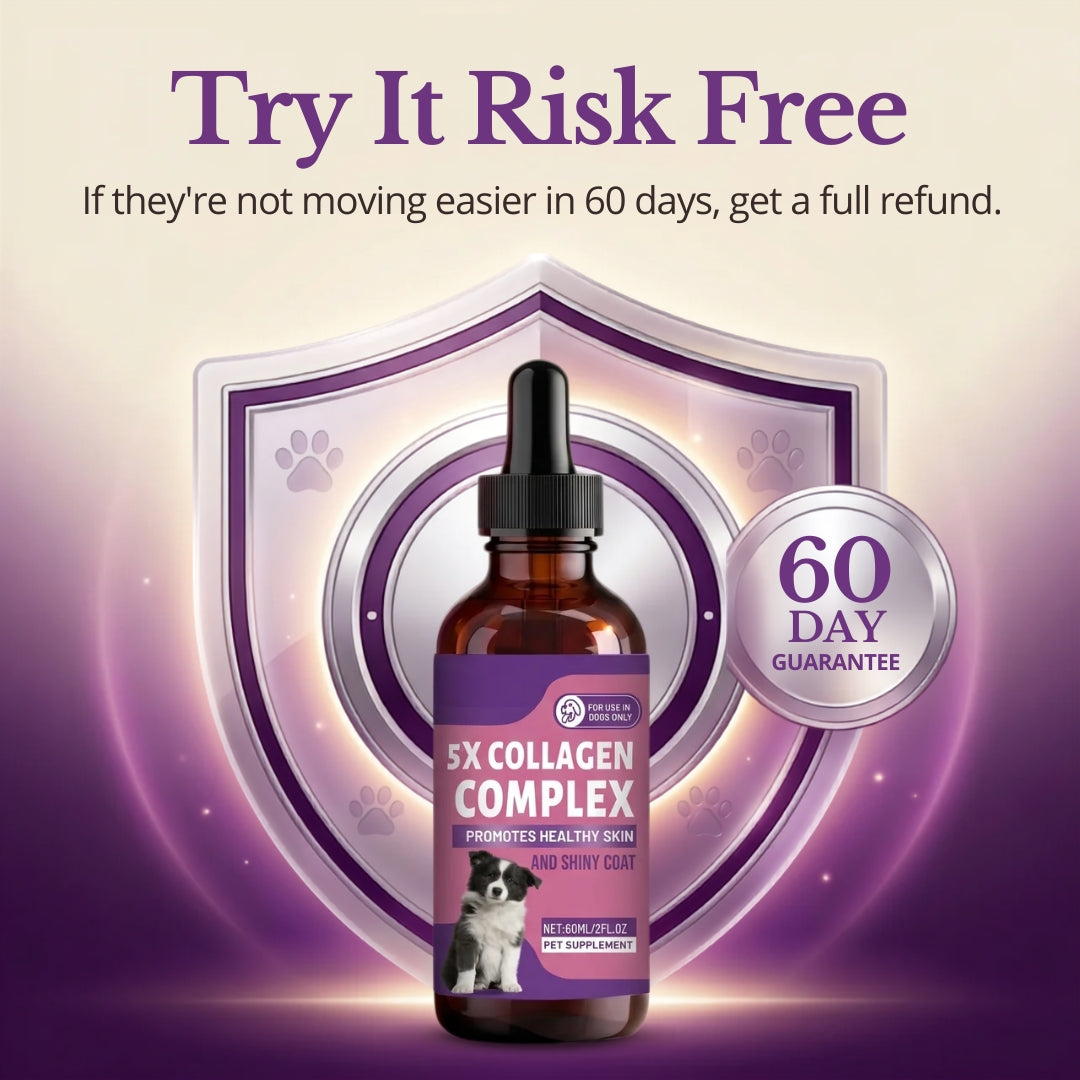 Sturdywell 5x Collagen Complex