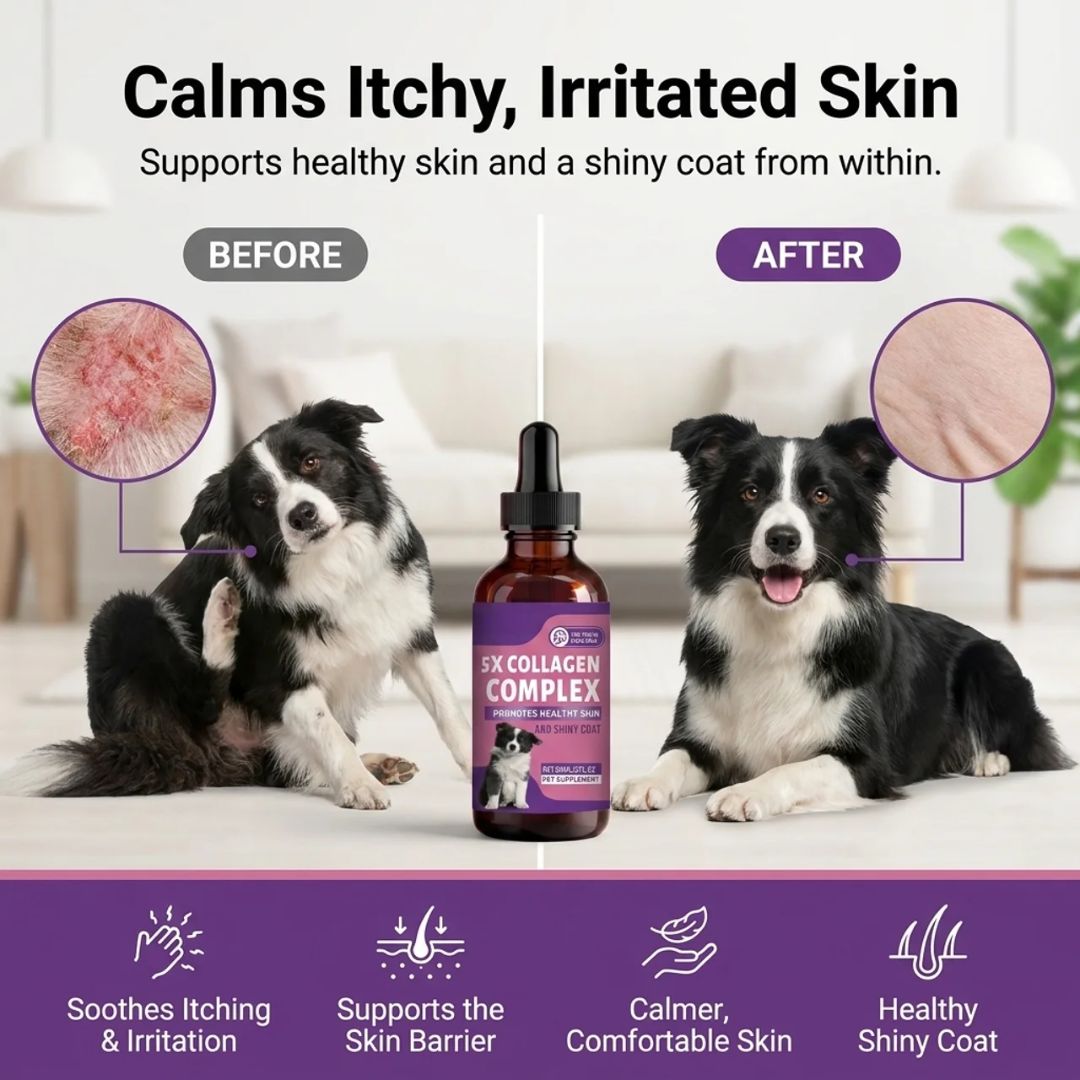 Sturdywell 5x Collagen Complex