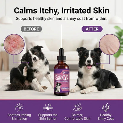 Sturdywell 5x Collagen Complex