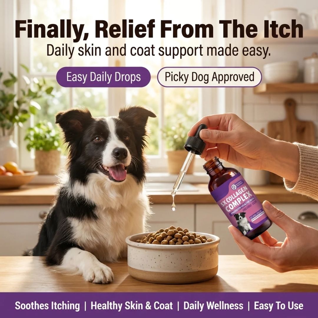 Sturdywell 5x Collagen Complex