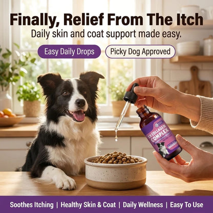 Sturdywell 5x Collagen Complex