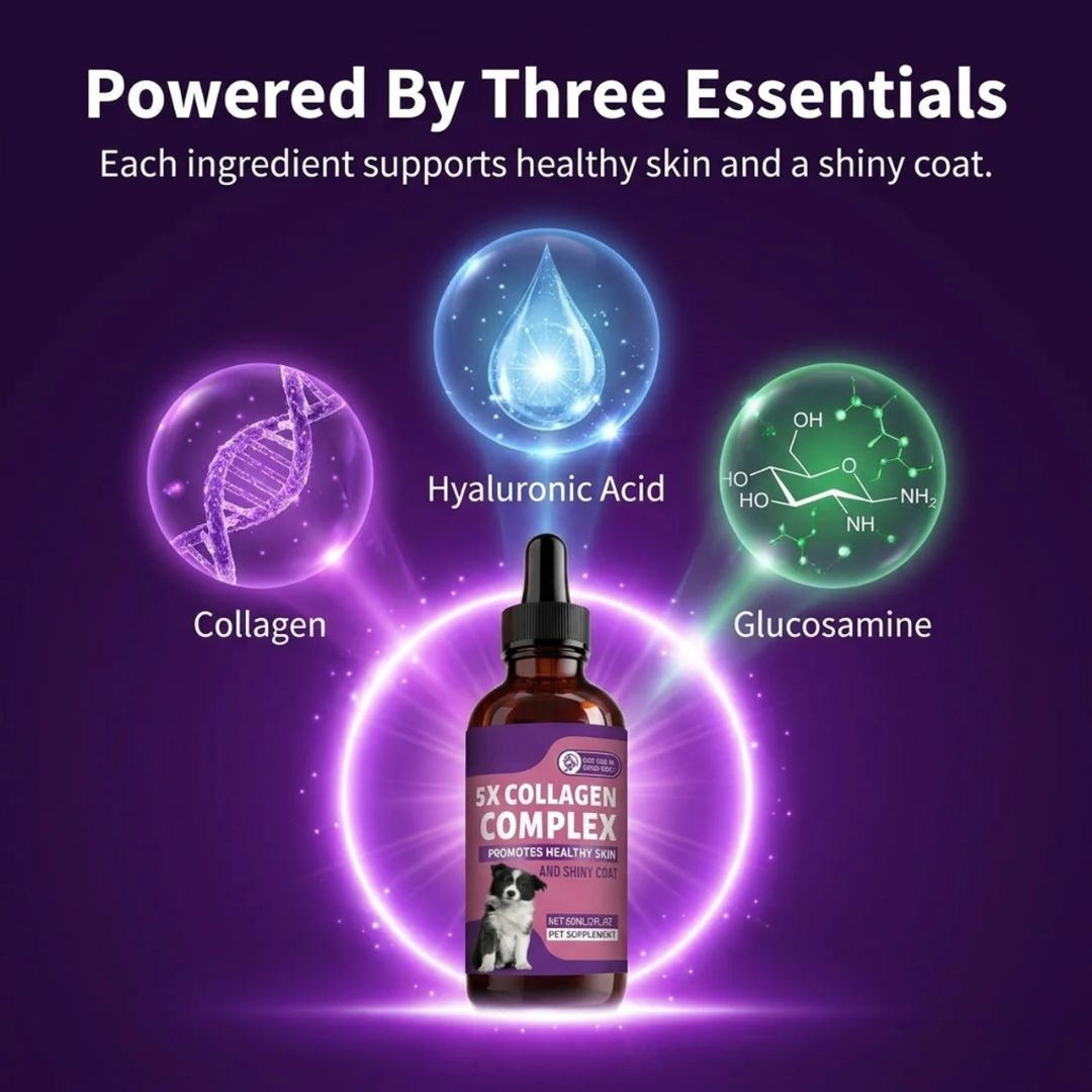 Sturdywell 5x Collagen Complex