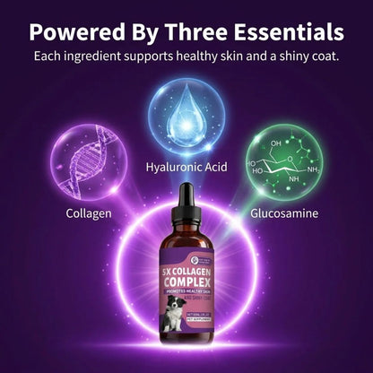 Sturdywell 5x Collagen Complex