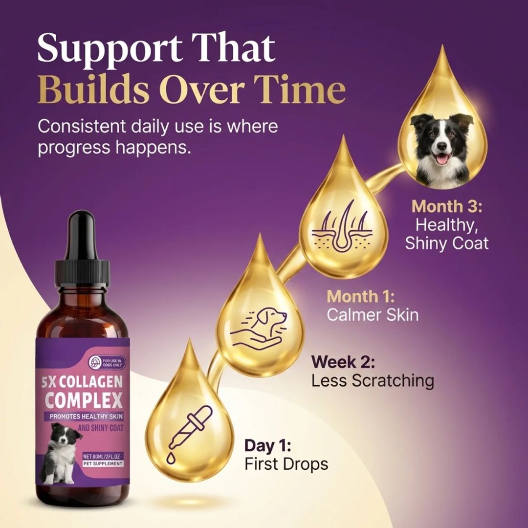 Sturdywell 5x Collagen Complex