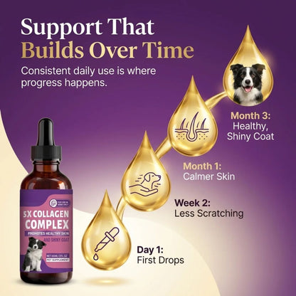 Sturdywell 5x Collagen Complex