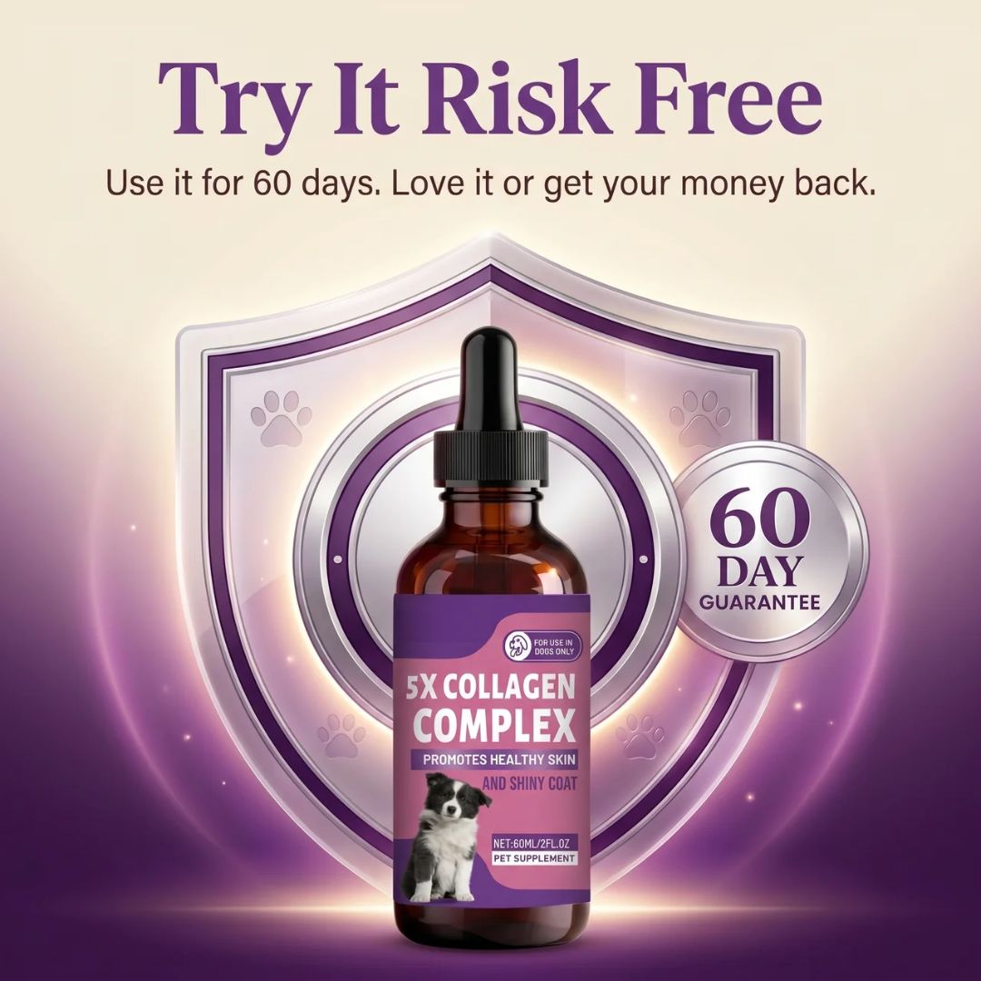 Sturdywell 5x Collagen Complex