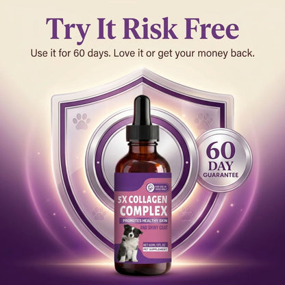 Sturdywell 5x Collagen Complex