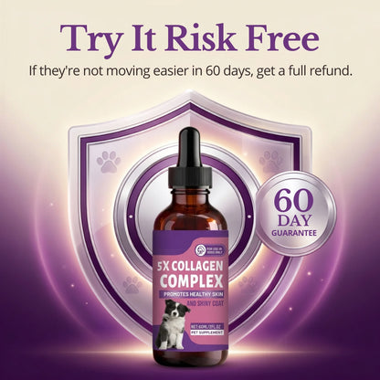 Sturdywell 5x Collagen Complex