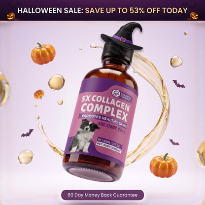 Sturdywell 5x Collagen Complex