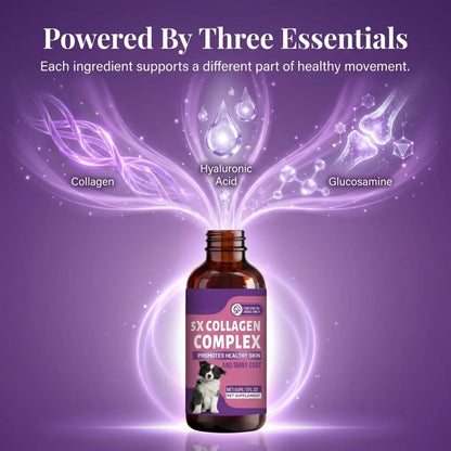 Sturdywell 5x Collagen Complex