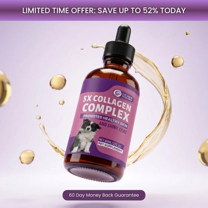 Sturdywell 5x Collagen Complex
