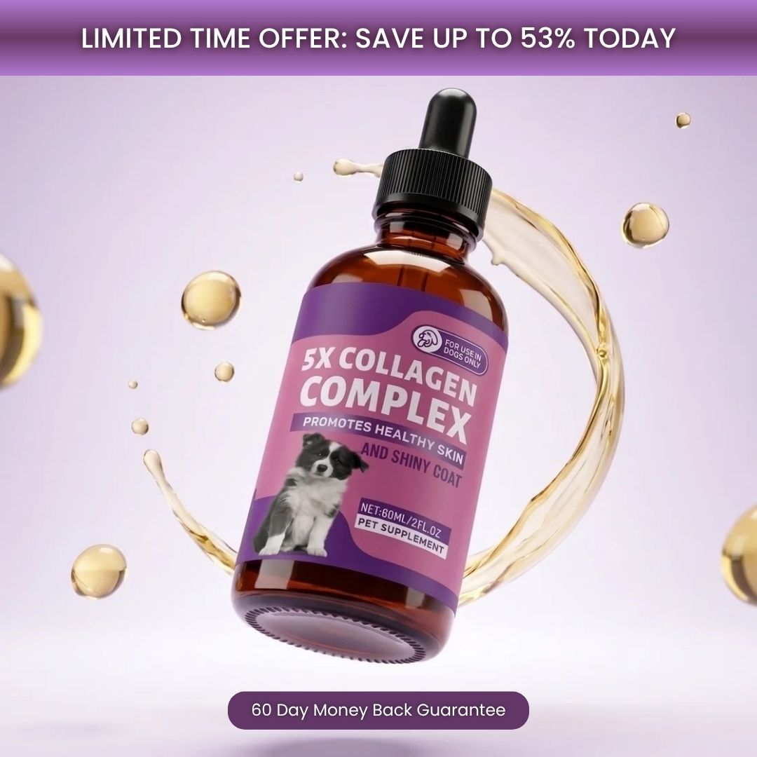 Sturdywell 5x Collagen Complex