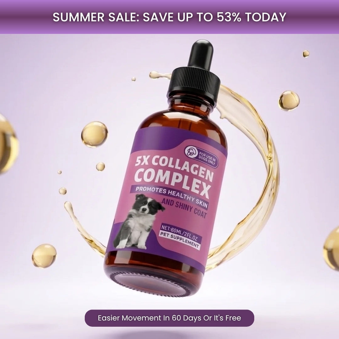 Sturdywell 5x Collagen Complex