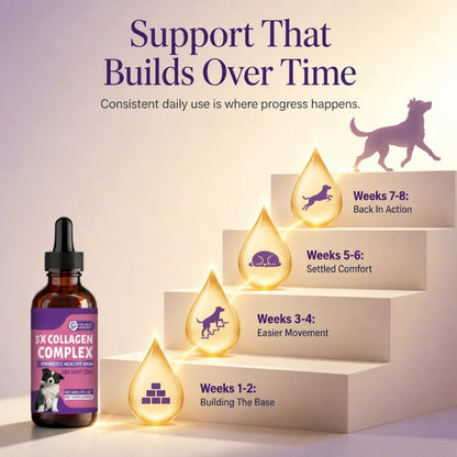 Sturdywell 5x Collagen Complex