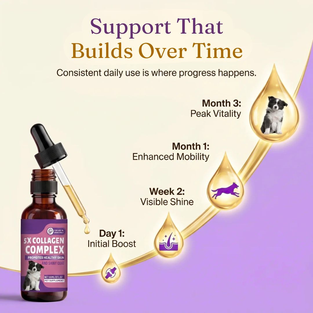 Sturdywell 5x Collagen Complex