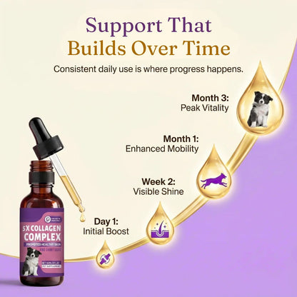 Sturdywell 5x Collagen Complex