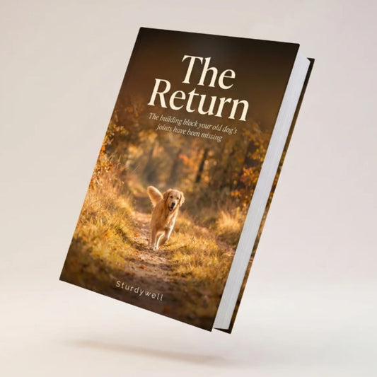 The Return Ebook